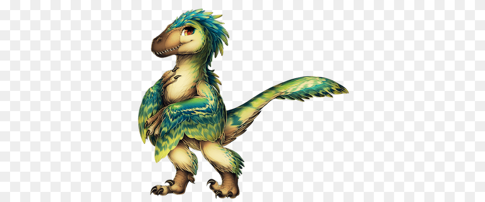 Image, Animal, Bird Png
