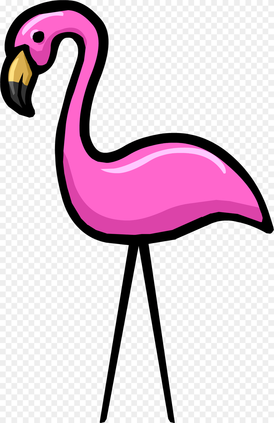 Animal, Beak, Bird, Flamingo Png Image