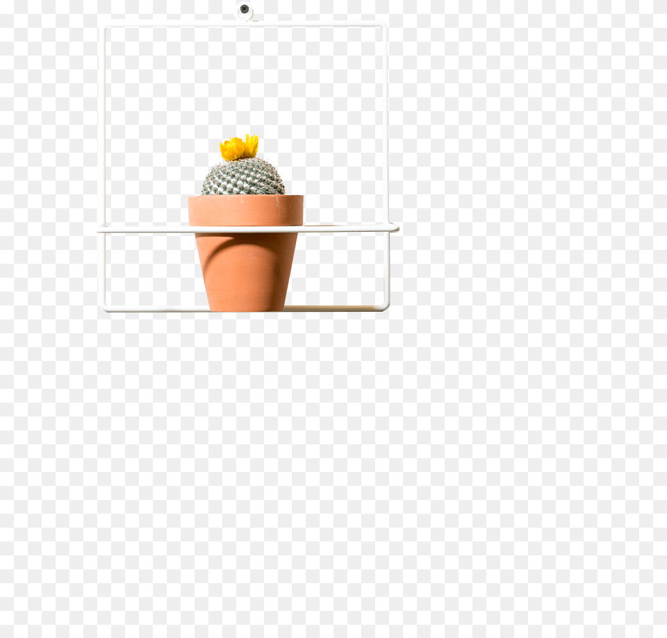 Image, Plant, Potted Plant, Cookware, Pot Free Png
