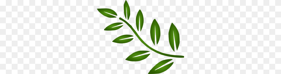 Image, Plant, Green, Herbal, Herbs Png