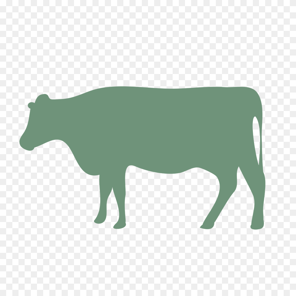 Image, Animal, Cattle, Cow, Livestock Free Png