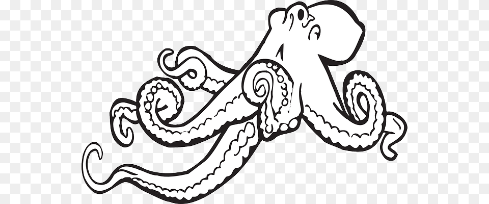 Image, Animal, Sea Life, Invertebrate, Octopus Png