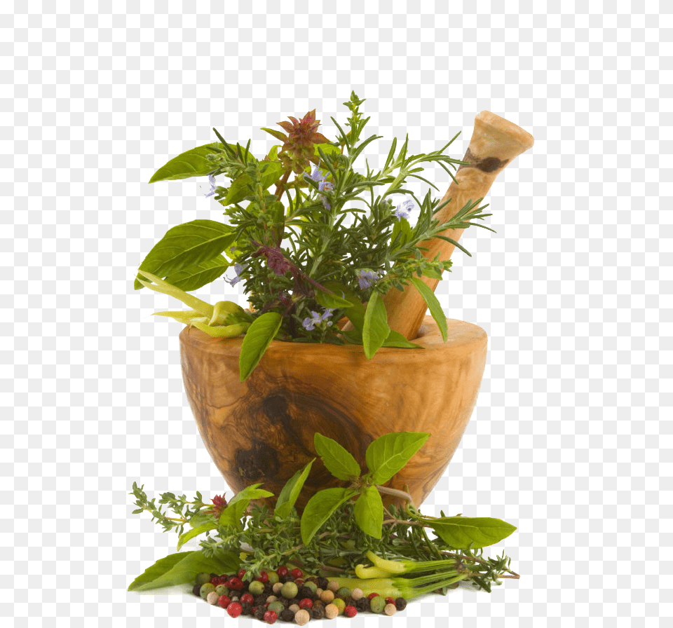 Image, Herbal, Herbs, Plant, Flower Free Transparent Png