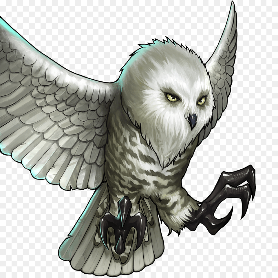 Image, Animal, Bird, Electronics, Hardware Free Png