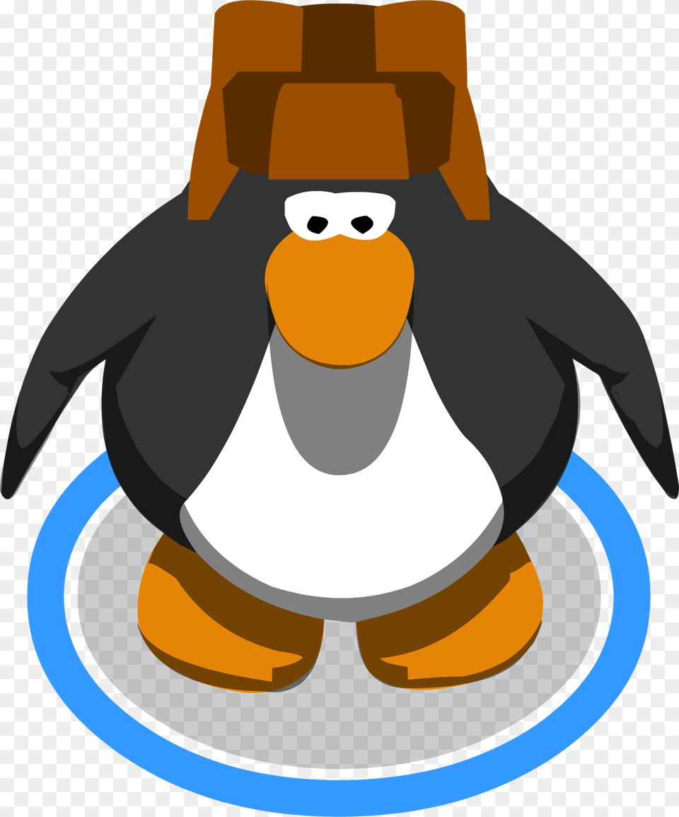 Image, Animal, Bird, Person, Penguin Png