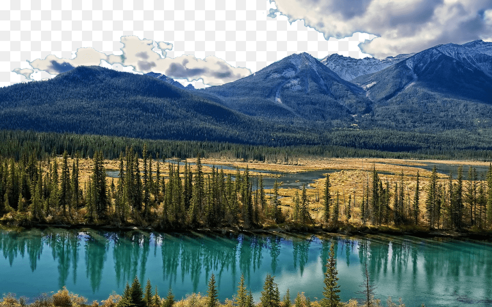Image, Wilderness, Water, Tree, Scenery Free Png