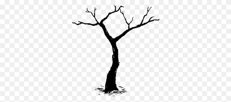 Image, Silhouette, Plant, Tree, Person Free Png