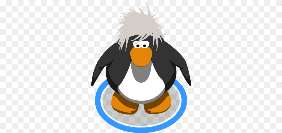 Image, Person, Animal, Bird Png
