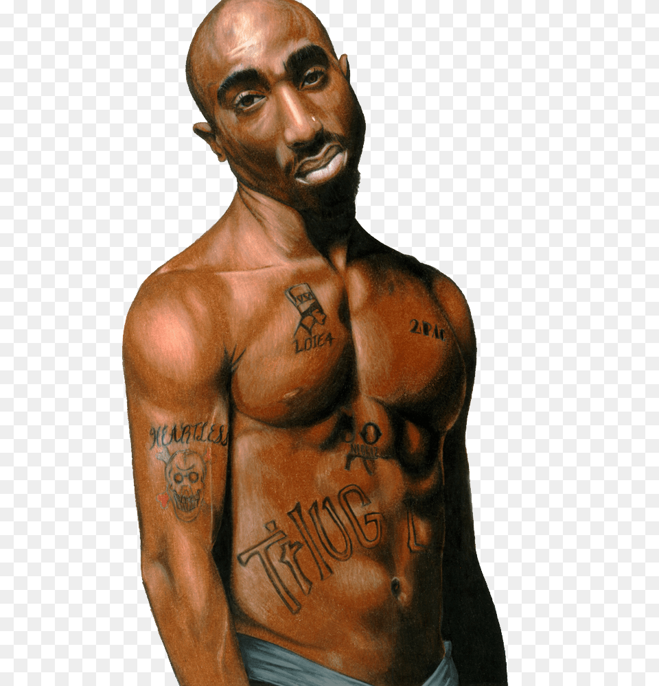 Image, Adult, Male, Man, Person Free Png Download