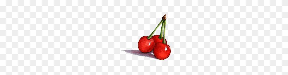 Image, Cherry, Food, Fruit, Plant Free Png Download