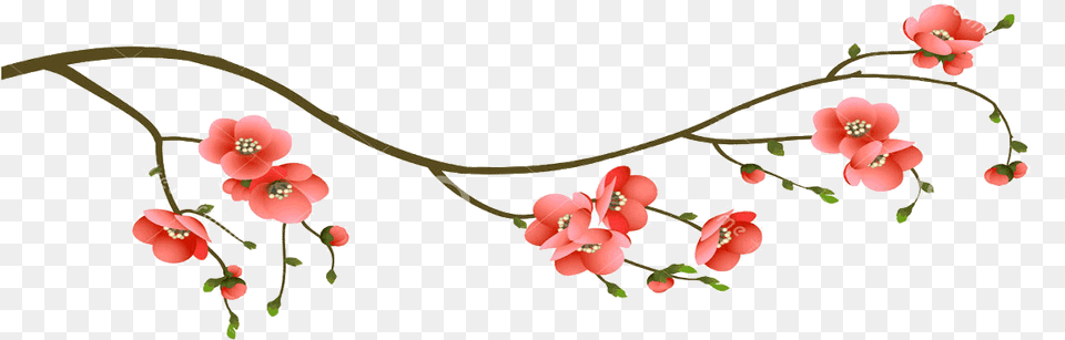 Image, Flower, Plant, Petal Free Png