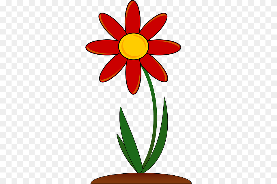 Image, Daisy, Flower, Plant, Petal Free Png