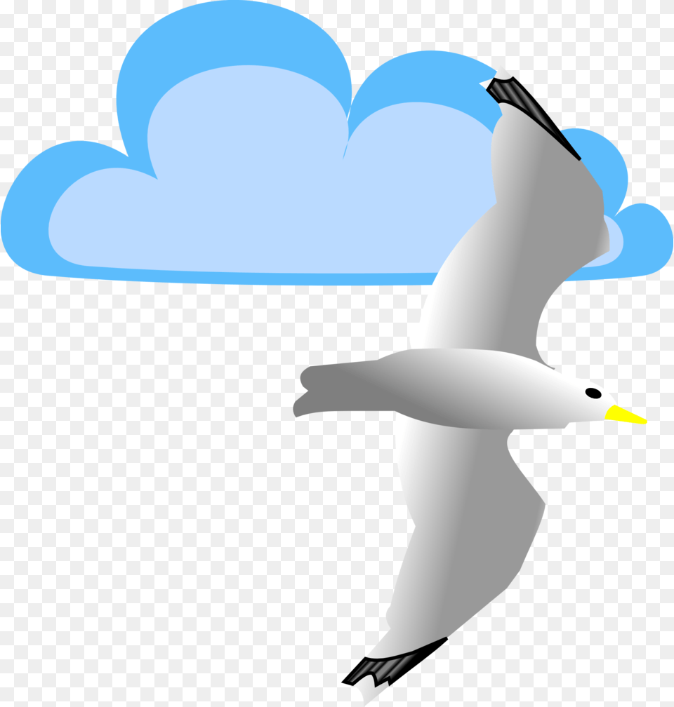Image, Animal, Bird, Seagull, Waterfowl Free Png Download