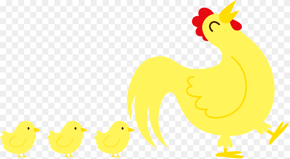 Animal, Bird, Fowl, Poultry Png Image
