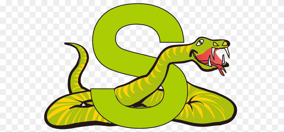 Image, Animal, Reptile, Snake, Green Snake Free Transparent Png