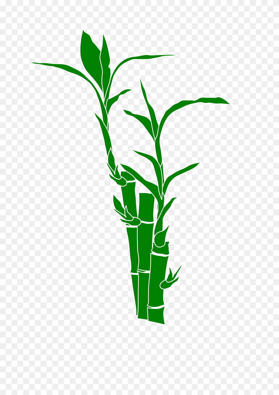 Image, Plant, Bamboo Free Png Download