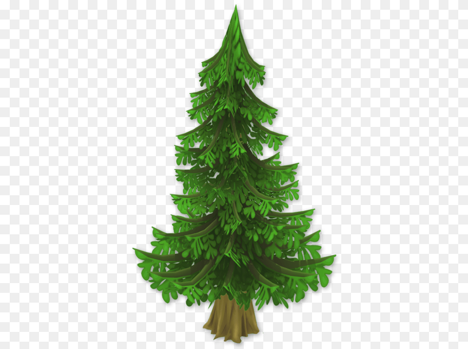 Fir, Plant, Tree, Pine Png Image