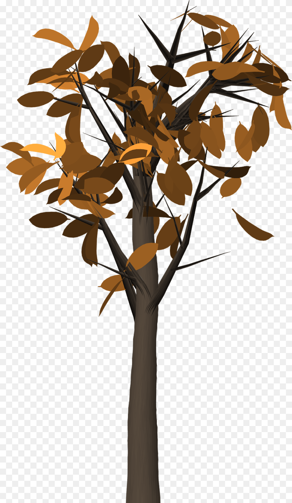 Image, Plant, Tree, Leaf, Cross Png