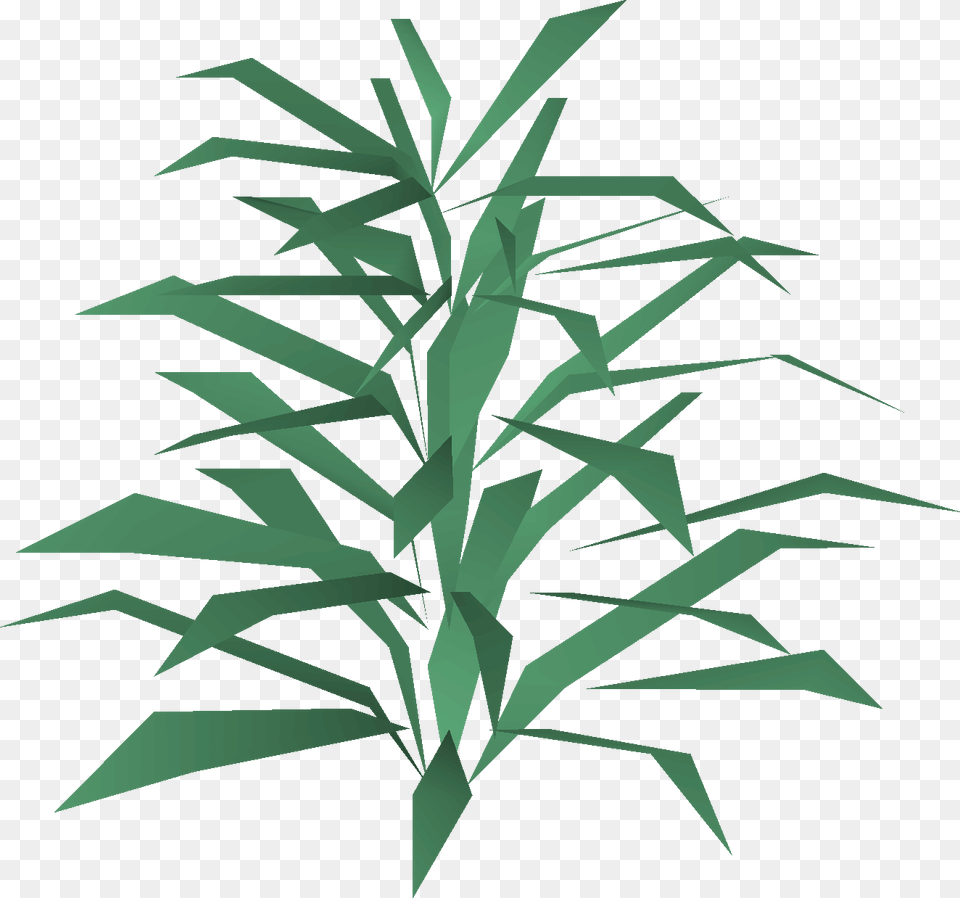 Image, Grass, Plant Free Transparent Png