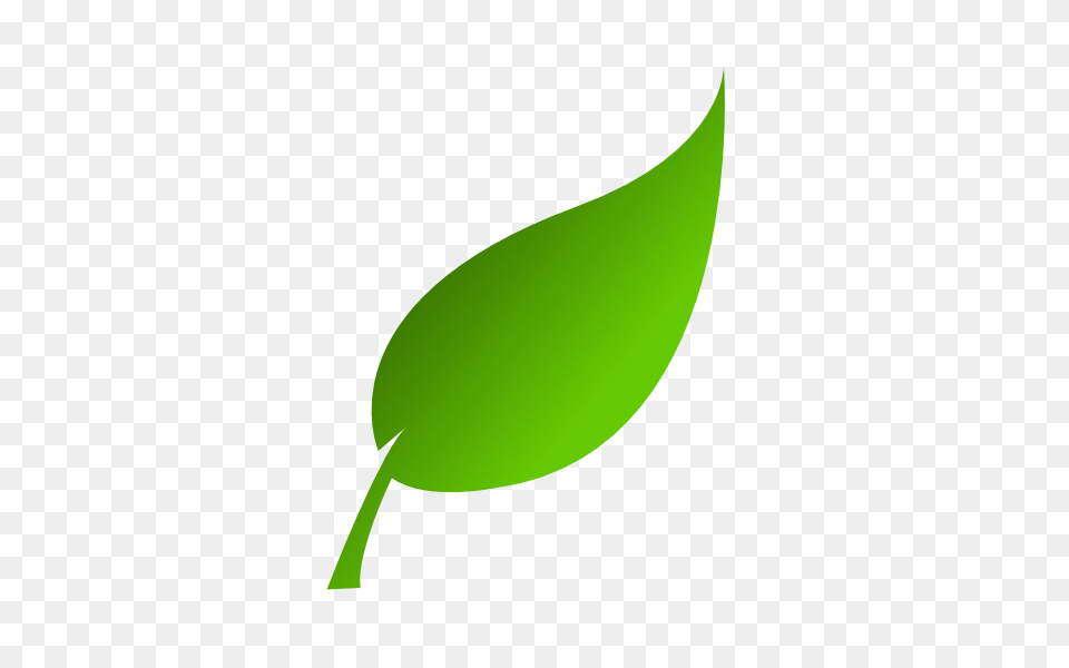 Image, Green, Leaf, Plant, Herbal Free Png