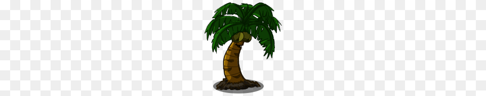 Image, Plant, Tree, Palm Tree, Head Free Png Download