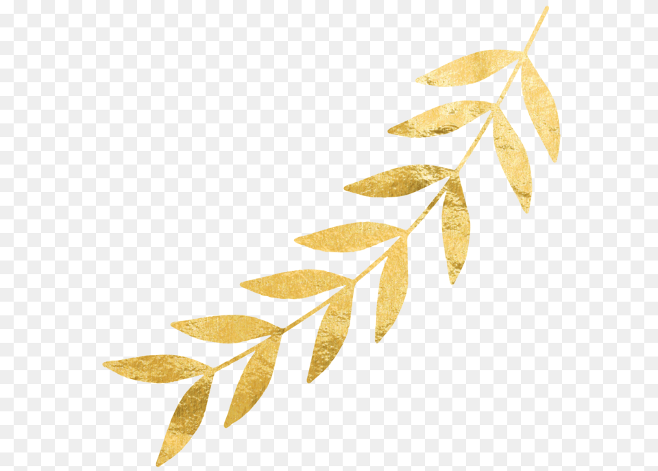 Image, Leaf, Plant, Gold Png