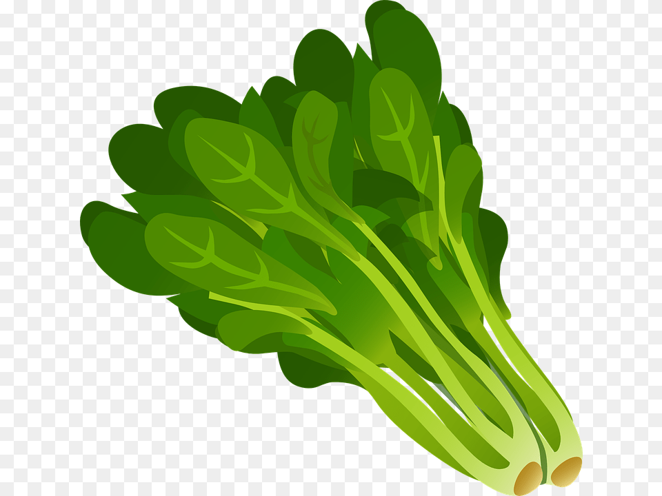 Image, Food, Plant, Produce, Leafy Green Vegetable Free Png Download