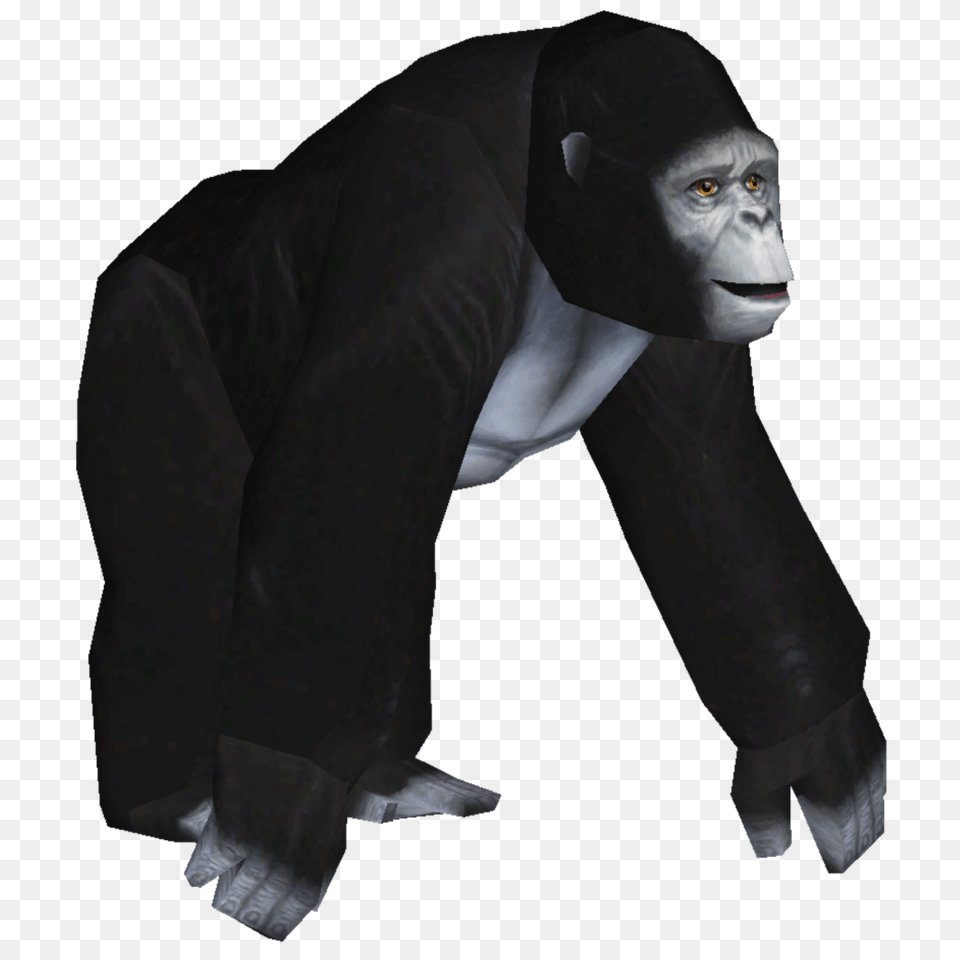 Image, Animal, Ape, Mammal, Wildlife Free Png