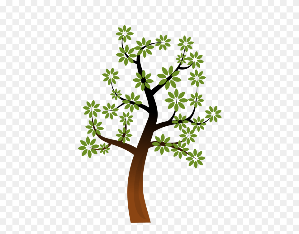 Plant, Tree, Leaf, Oak Png Image