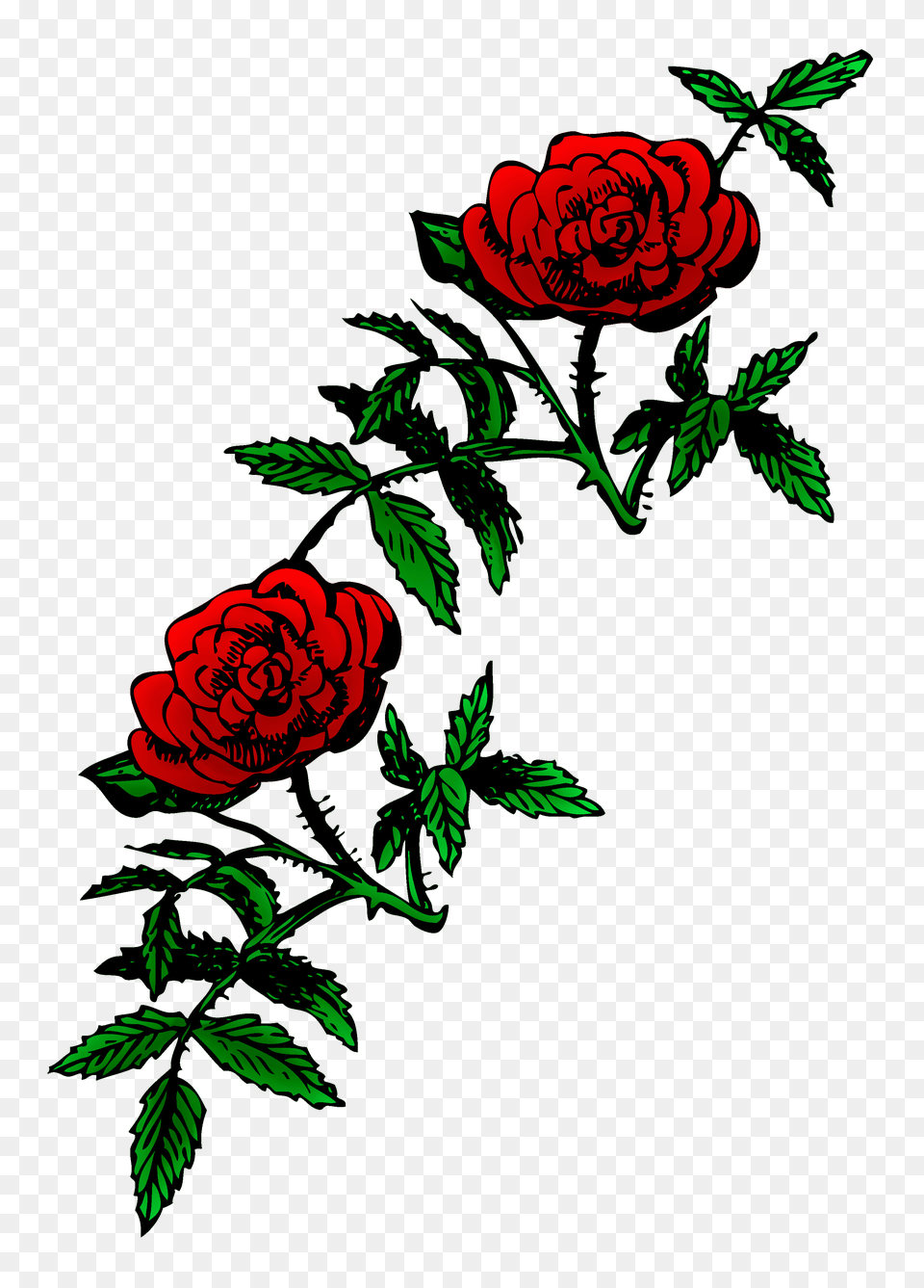 Image, Rose, Plant, Pattern, Flower Free Png Download