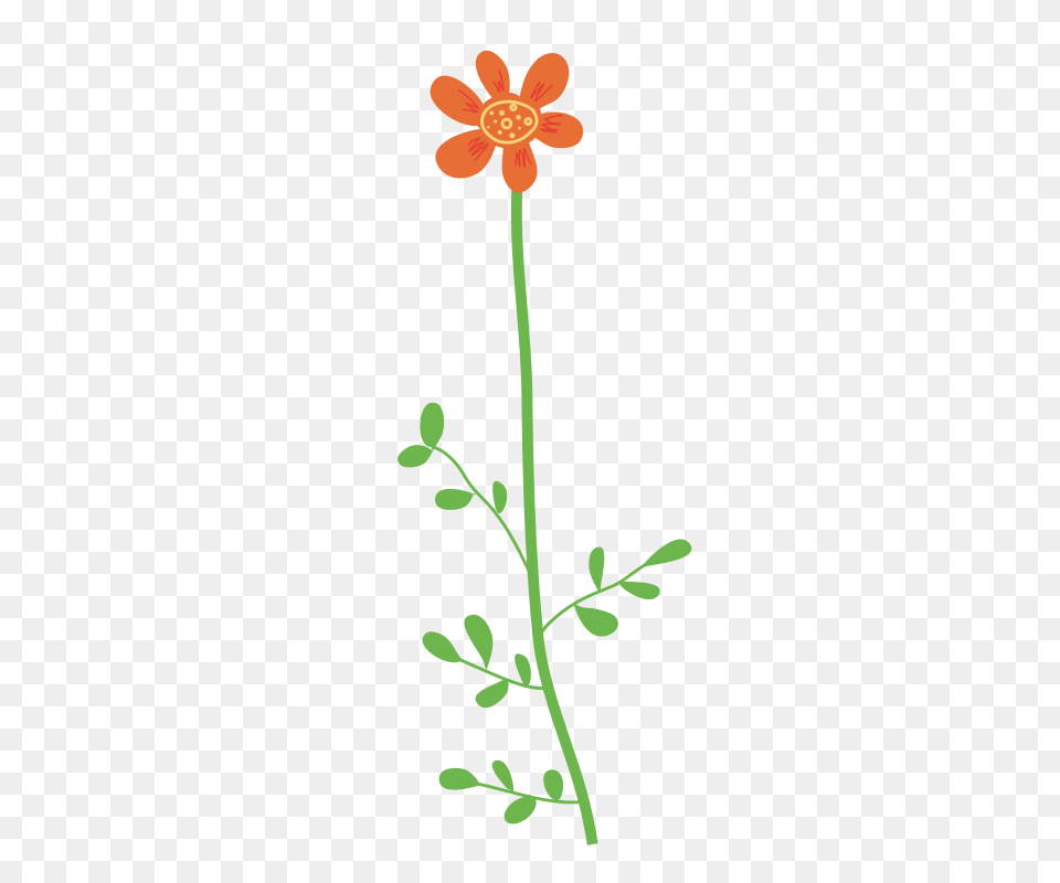 Plant, Flower, Anther, Petal Png Image