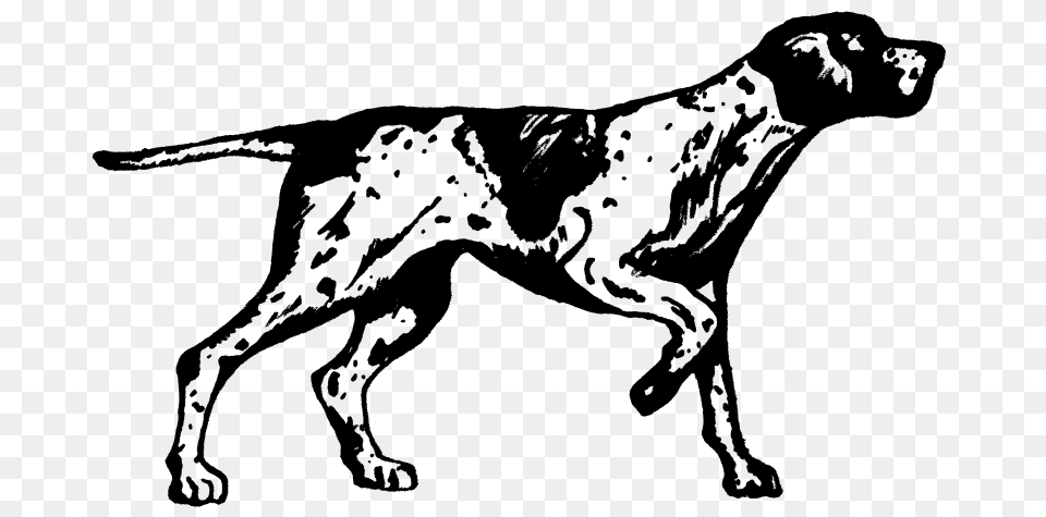 Gray Png Image