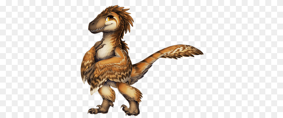 Image, Animal, Bird Free Png Download