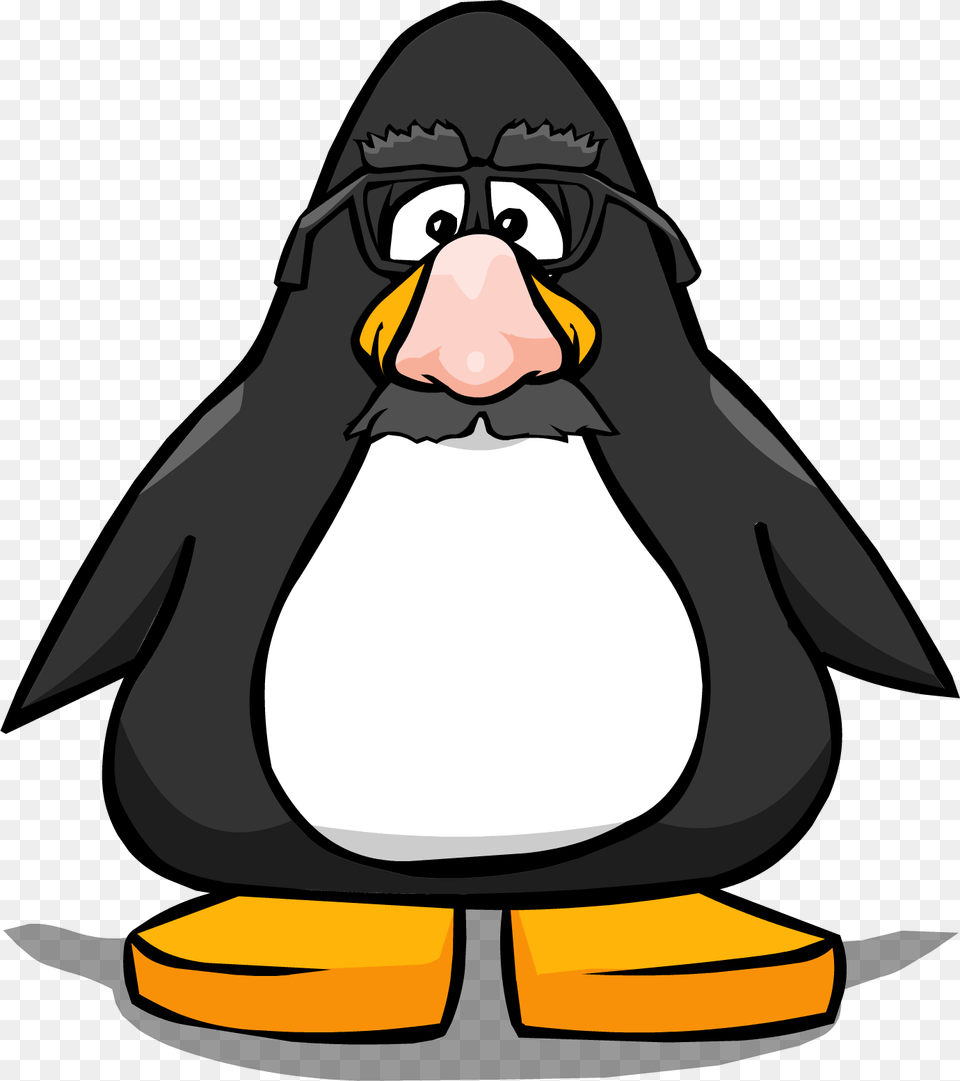 Image, Animal, Bird, Penguin, Fish Free Png