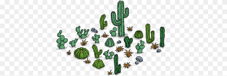 Cactus, Plant Png Image