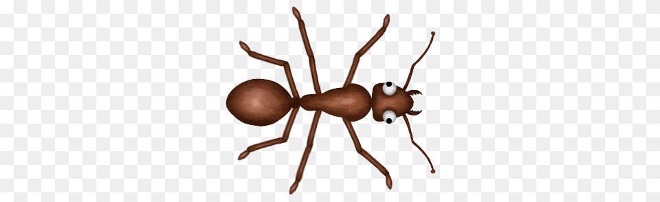 Animal, Ant, Insect, Invertebrate Png Image