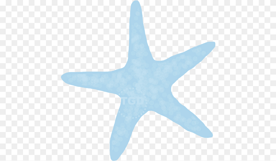 Animal, Sea Life, Invertebrate, Starfish Png Image