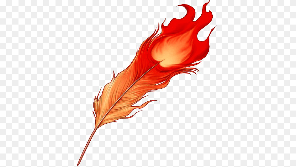 Image, Leaf, Plant Free Transparent Png