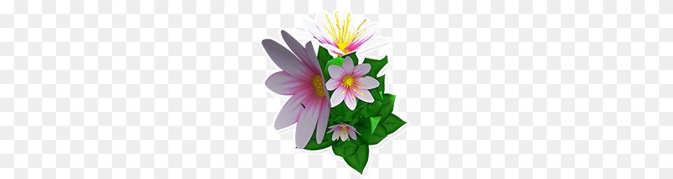 Image, Plant, Flower Bouquet, Flower Arrangement, Flower Free Png
