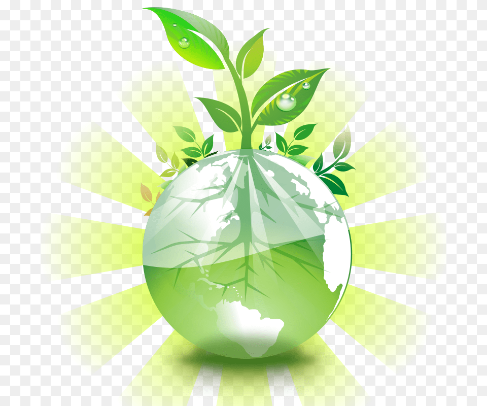 Green, Herbal, Herbs, Leaf Png Image