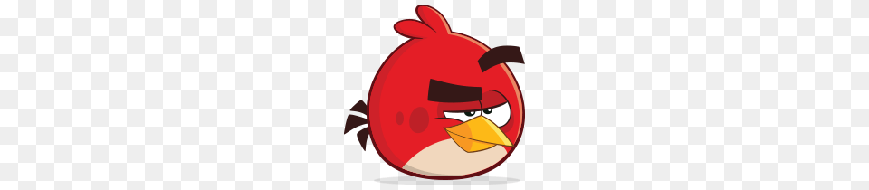 Animal, Beak, Bird Png Image
