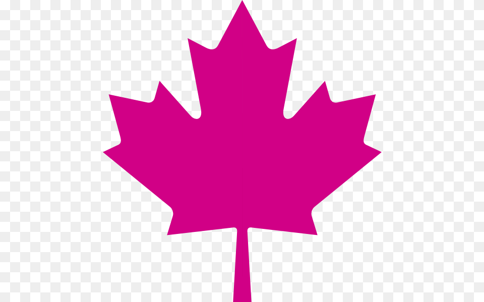 Image, Leaf, Plant, Maple Leaf Png