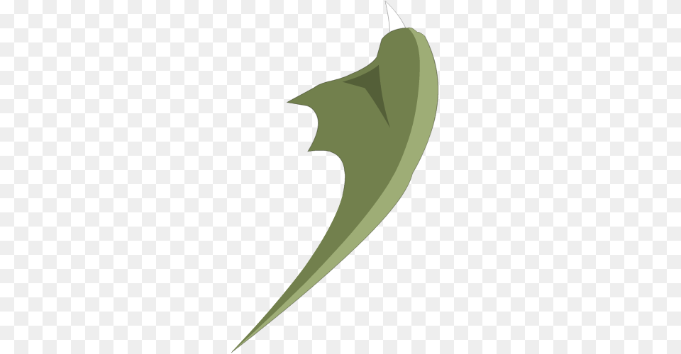 Leaf, Plant, Animal, Fish Png Image