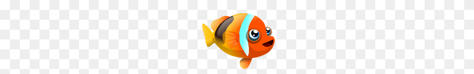 Image, Animal, Fish, Sea Life, Goldfish Free Png