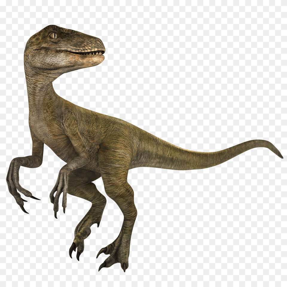 Animal, Dinosaur, Reptile, T-rex Png Image