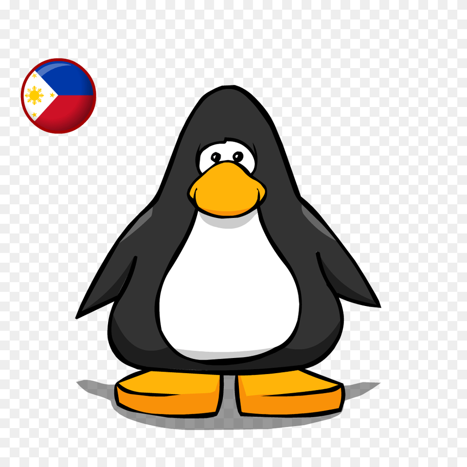 Image, Animal, Bird, Penguin Free Png