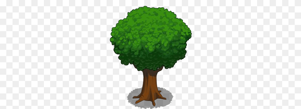 Green, Tree, Plant, Vegetation Png Image