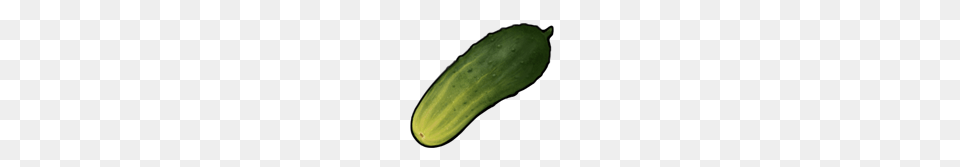 Image, Cucumber, Food, Plant, Produce Free Transparent Png