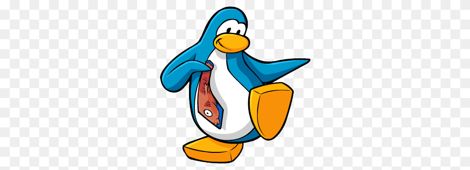 Animal, Bird, Penguin, Fish Png Image