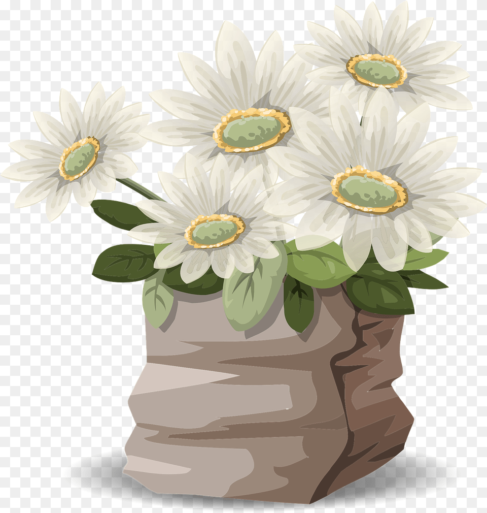 Image, Daisy, Flower, Flower Arrangement, Flower Bouquet Free Png Download